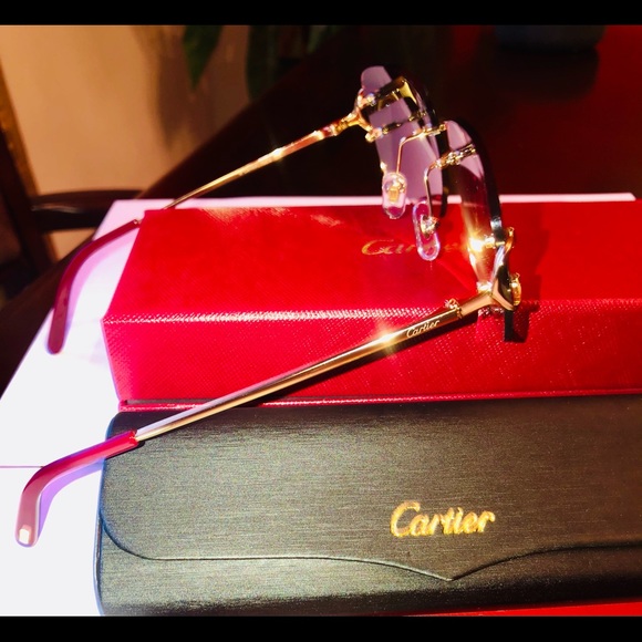 Cartier Other - Cartier sunglasses